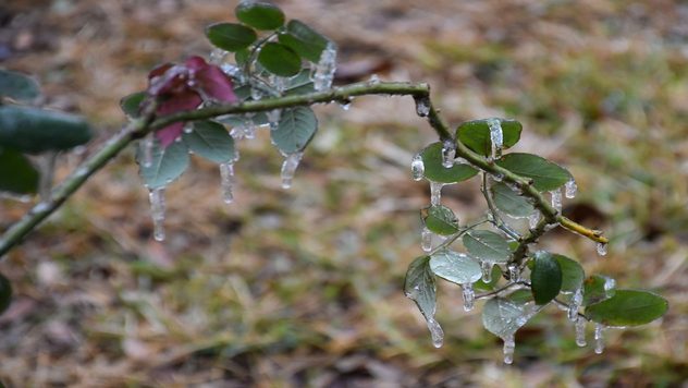 ice storm