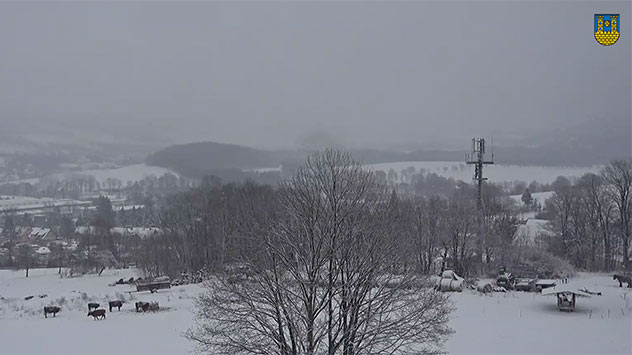 © feratel.com Webcam aus Neustadt