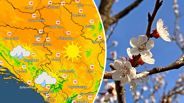 Sunčano i toplo, visok nivo polena