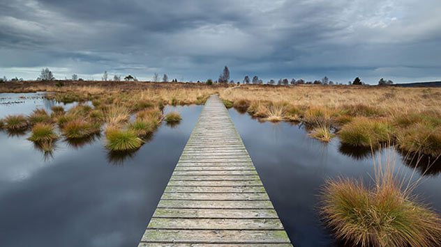 Steg zu einem großen Moor bei Herbstwetter mit dunklen Wolken