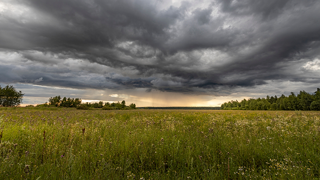 dunkle Wolken über Wiese