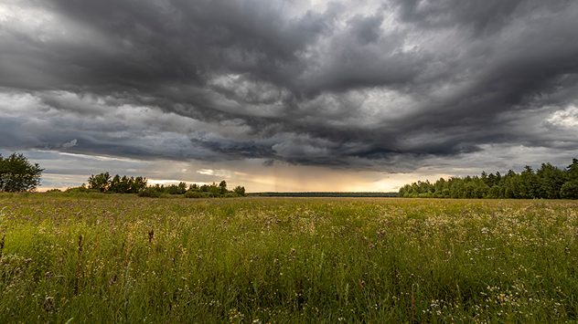 dunkle Wolken über Wiese (c) ARTpok / shutterstock.com