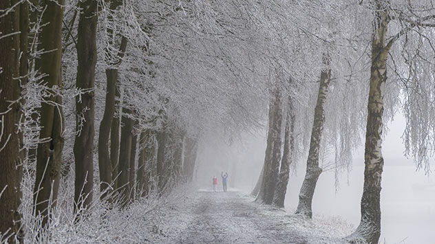 Zauberhafte Stimmung im Nebelwald