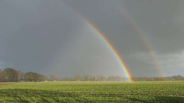 Doppelter Regenbogen über einem Feld