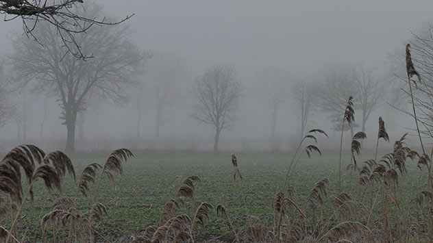 Trübe Nebelsuppe über einem Feld