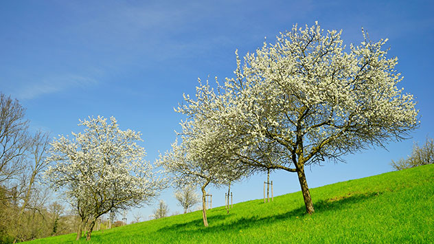 In Dresden scheint dagegen die Sonne und der Himmel ist fast wolkenlos.