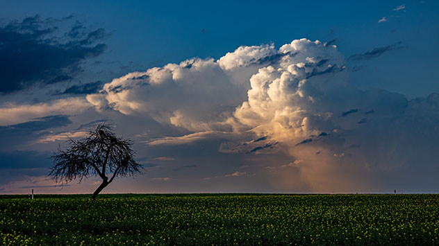 Nach der Monatsmitte wird es zunehmend turbulent. Kräftige Schauer- und Gewitterwolken türmen sich auf.