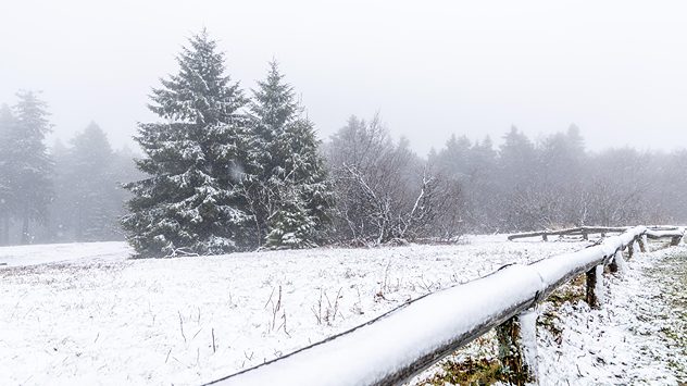 Leichter Schneefall über einer winterlichen Wiese bei Feldberg im Taunus. Tannen und Sträucher sind mit einer dünnen Schneeschicht bedeckt. (c) dpa