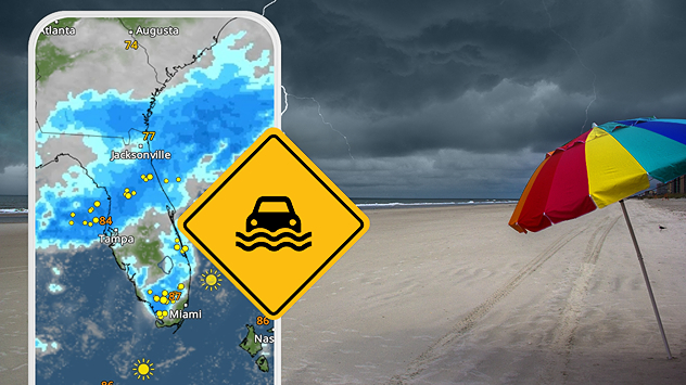 While October typically marks a transition to drier weather in Florida, the first full week of the month is kicking off with heavy rain. But how much rain are we talking about?