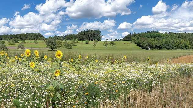 Der Sonntag bringt vielerorts die Sonne zurück.