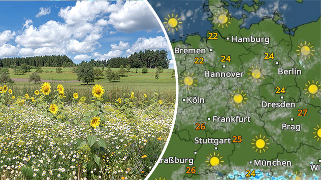 Freundlicher Sommertag