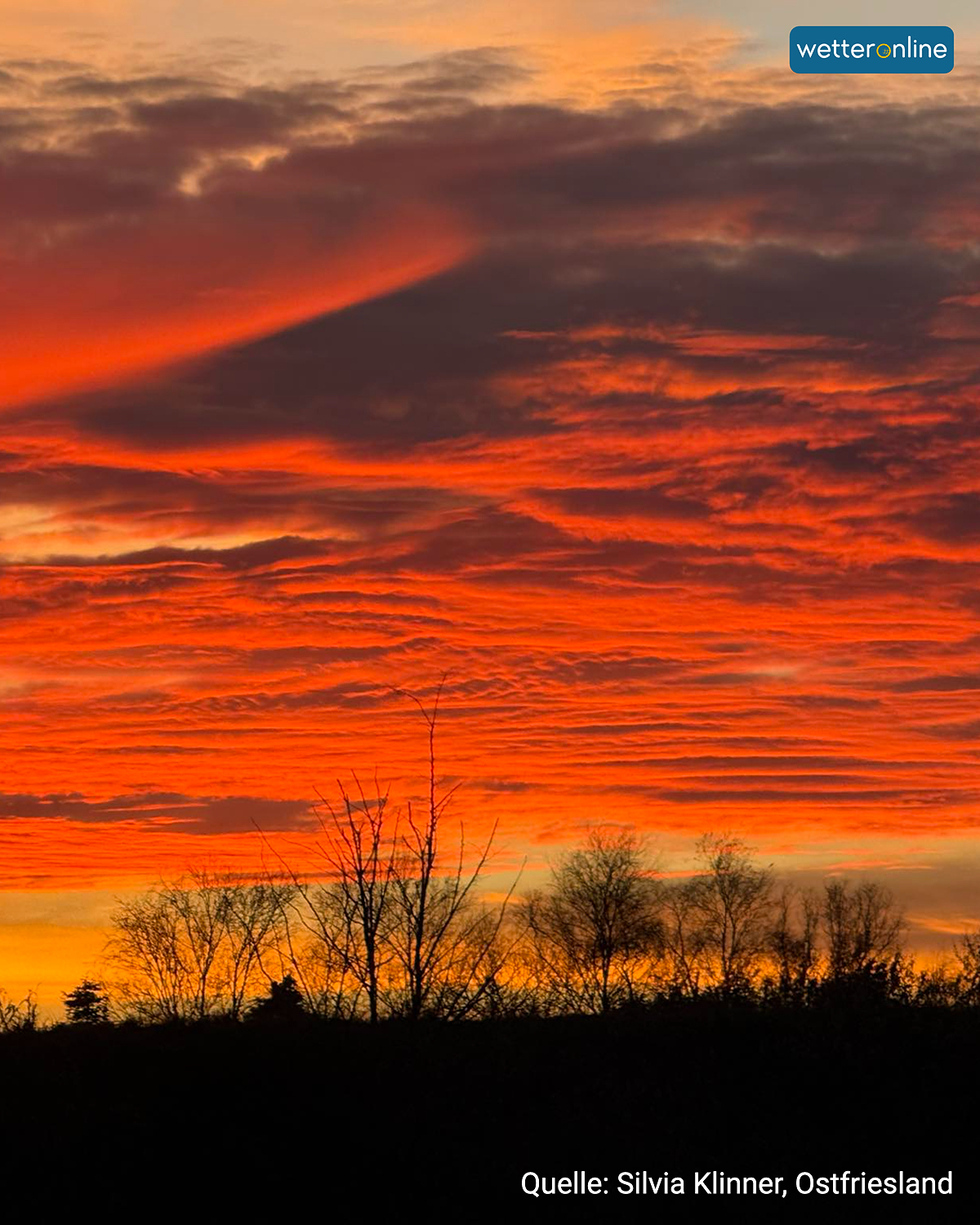 Leuchtend roter Sonnenuntergang mit dunklen Wolken und Baum­silhouetten über Ostfriesland.