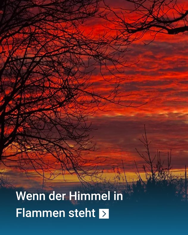 Roter Abendhimmel mit dunklen Silhouetten kahler Bäume.