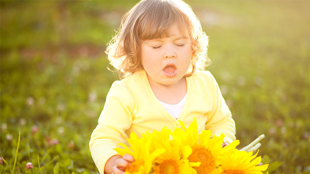 Kind im gelben Pullover niest neben Sonnenblumen auf einer Wiese. Die Sonne scheint hell.