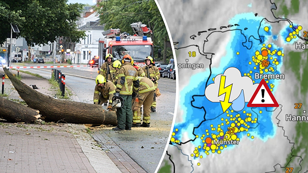 Links ein umgestürzter Baum, rechts das WetterRadar mit vielen Gewittern.