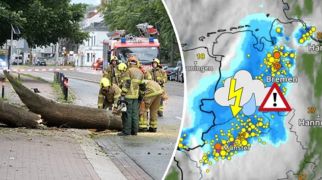 Links ein umgestürzter Baum, rechts das WetterRadar mit vielen Gewittern.