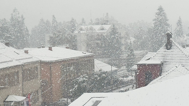 Huizen en bomen onder dichte sneeuwval, daken bedekt met verse sneeuw.