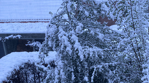 In Paderborn-Dahl ist alles wieder weiß