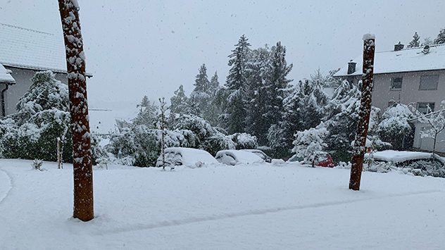 In Künzel bei Fulda in Hessen liegen am Sonntagmorgen auf etwa 300 Meter Höhe mehrere Zentimeter Schnee. 