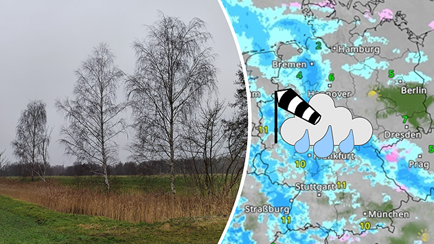 Geteilte Grafik: links eine windige Landschaft mit kahlen Bäumen unter grauem Himmel, rechts eine WetterRadar-Karte mit Regen- und Windsymbolen.