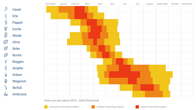 Übersichtlicher Pollenkalender mit Monaten und Pollenarten. Farbliche Abstufungen von Gelb bis Rot zeigen die Intensität. Datenbasis: 2013 bis 2025 im Flachland.