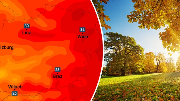 Splitbild. Links Temperaturkarte von Österreich - rechts Bäume im Abendlicht.