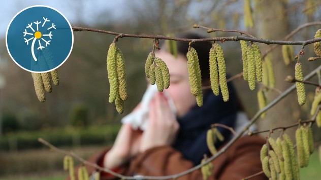Вже в середині зими люди, які страждають на пилкову алергію, мучаться від перших симптомів.