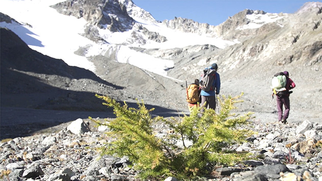 Wandern im Hochgebirge