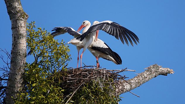 © Günther Appich via WetterMelder Deutschland Sonniges Wetter am Samstag