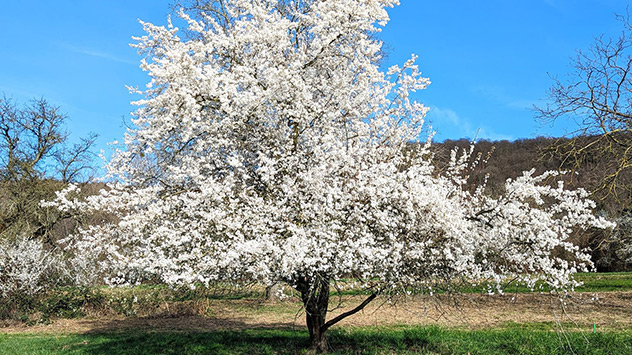 © Jürgen Scheuermann via WetterMelder Deutschland Sonniges Wetter am Samstag