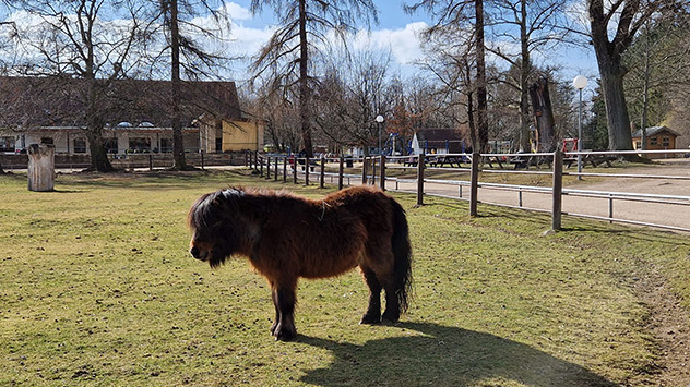 © Inapina Gola via WetterMelder Deutschland Sonniges Wetter am Samstag