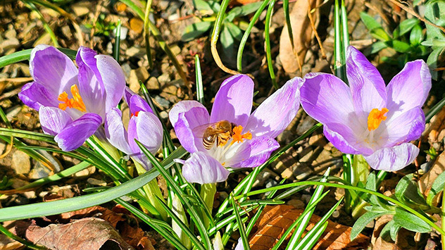 © Hardy Schulz via WetterMelder Deutschland Sonniges Wetter am Samstag