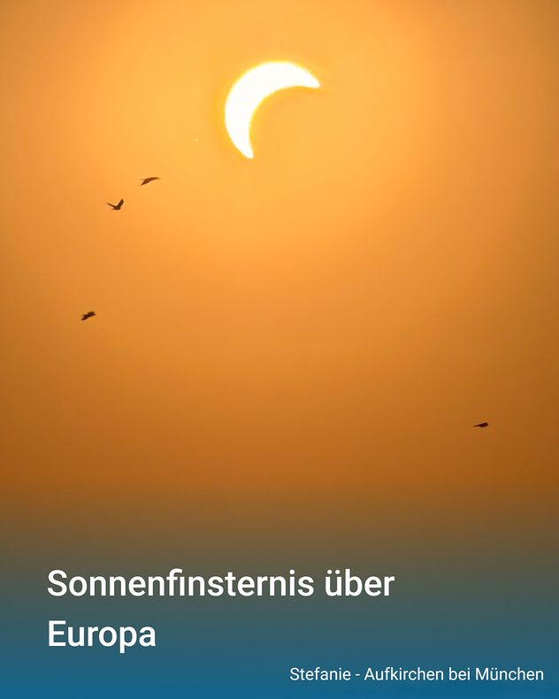 Partielle Sonnenfinsternis am orangefarbenen Himmel über Aufkirchen bei München. Mehrere Vögel fliegen unterhalb der hellen Sonnensiche