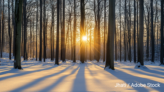 El solsticio de invierno se producirá en el hemisferio norte. 