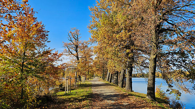 Plothener Teichgebiet