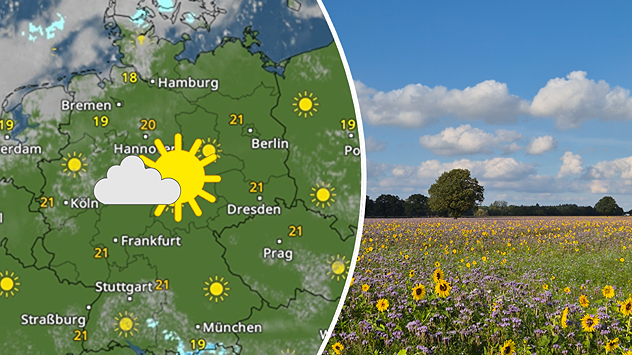 Wetterkarte mit viel Sonne und Temperaturen um 20 Grad neben einer blühenden Wiese.