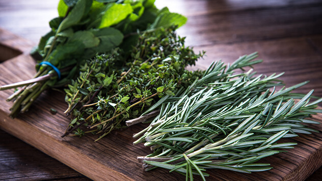 Gesunde Kräuter und Gewürze - © Marcin Jucha / Shutterstock.com Gartenkräuter