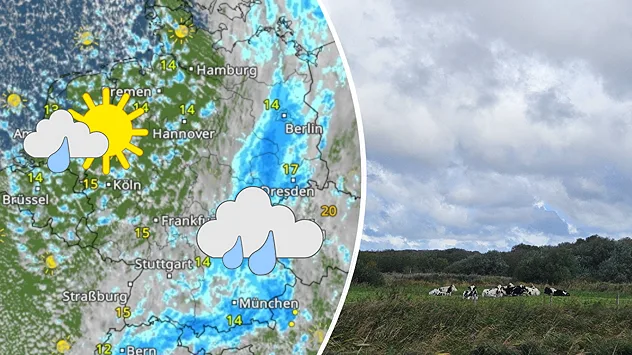 Kombination aus WetterRadar mit Regengebieten, Wolken und sonnigen Abschnitten sowie einer Weide mit Kühen unter grauem Himmel.