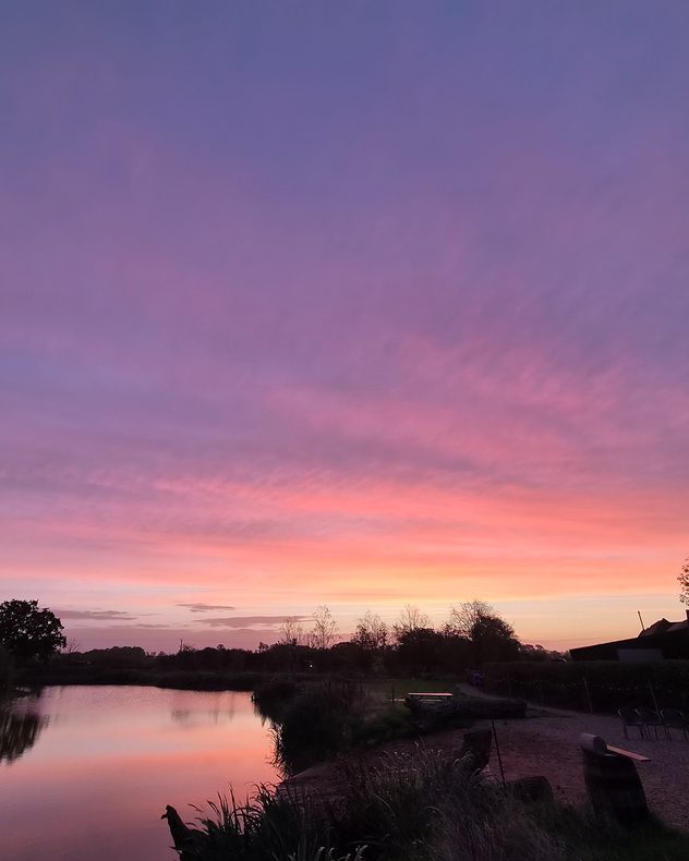 Pink and purple sunset sky reflected across a calm lake, with silhouetted trees, reeds and a quiet shoreline at dusk.
