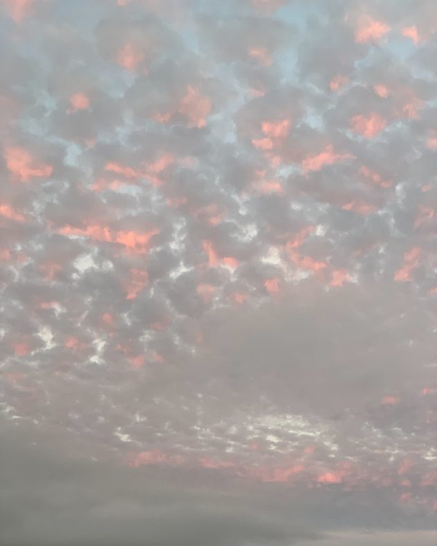 Soft gray altocumulus clouds fill the sky, with scattered cloud edges glowing pink in the fading evening light.