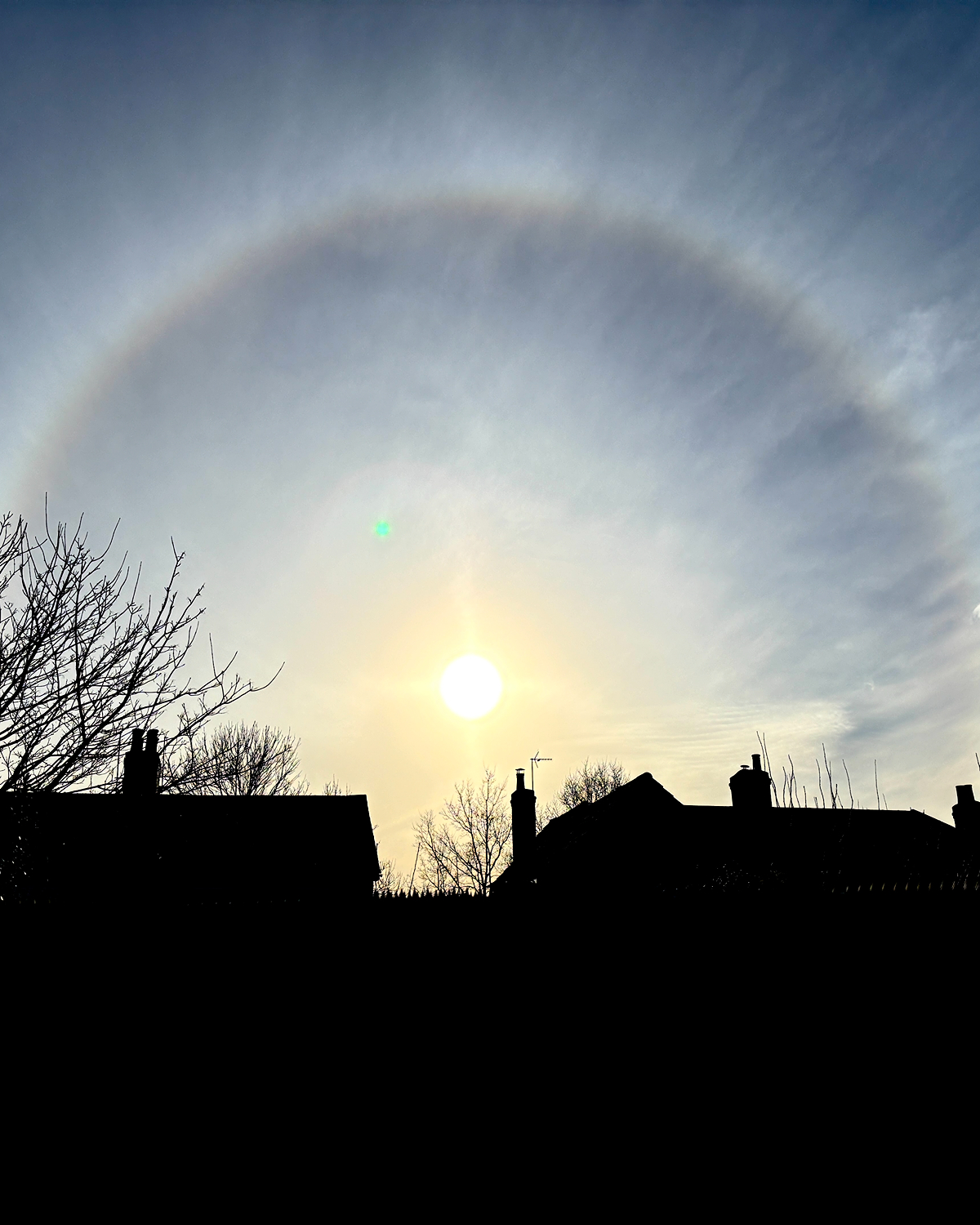Bright sun low in the sky surrounded by a faint circular halo in thin cloud, with silhouetted rooftops and bare tree branches along the horizon.