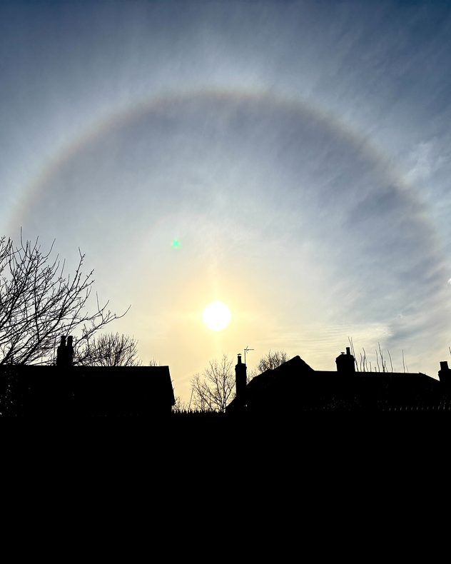 Bright sun low in the sky surrounded by a faint circular halo in thin cloud, with silhouetted rooftops and bare tree branches along the horizon.