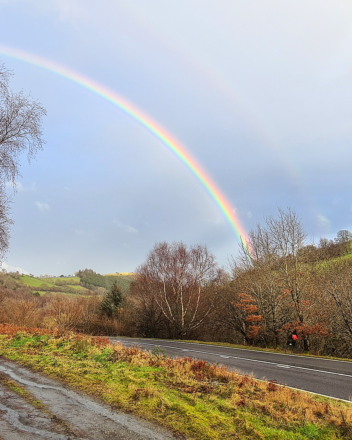 Bright rainbow arching across a grey sky above rolling green hills, bare trees, and a winding country road in the foreground.