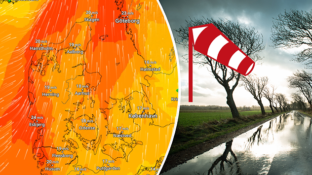 Vindkort over Danmark med stormende vind kombineret med foto af kraftig blæst i landskab.