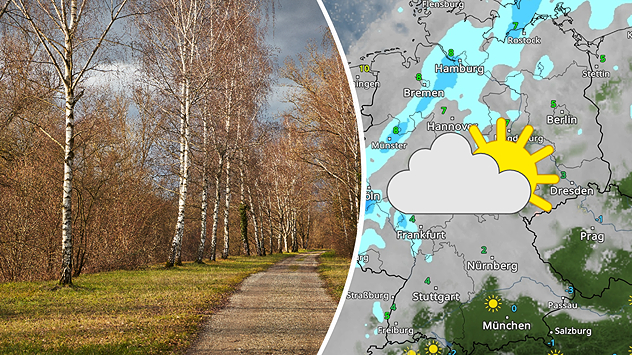Links: Ein Birkenweg mit kahlen Bäumen an einem Spätherbsttag. Rechts: WetterRadar-Karte vom 27. November zeigt Wolken, einzelne Schauer im Norden und teils Sonne im Süden – markiert durch Sonne-Wolke-Symbol.