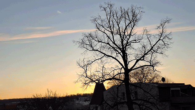 Ruhige Morgenstunden bei leichtem Frost in Altenburg