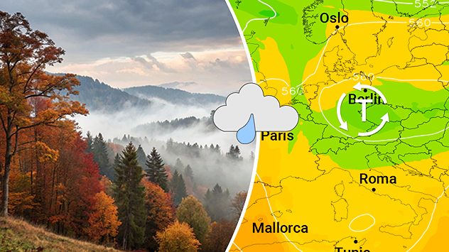 ts (c) suplob-Designer/Shutterstock.com