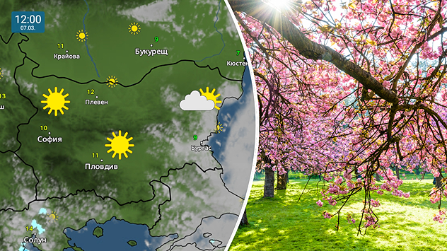 Отляво: Метеокартата показва слънчево време над голяма част от страната в събота, с облаци само на изток Отдясно: цъфнала сакура (японската вишна)