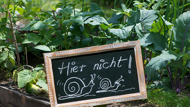Ein Schild mit der Aufschrift: Schnecken hier nicht! 