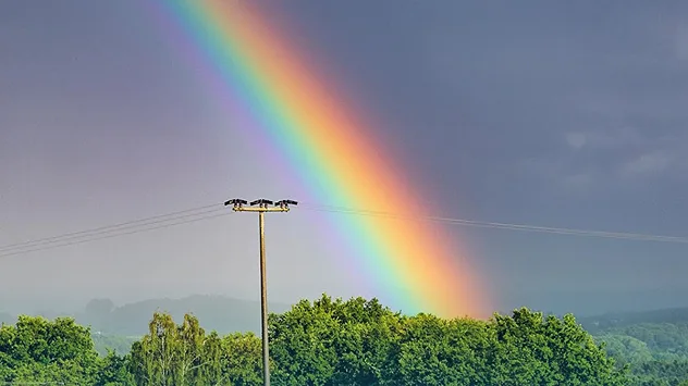 Leuchtender Regenbogen über einer Baumreihe